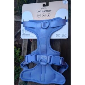 Wild One Harness (M) and Leash in Moonstone Blue
